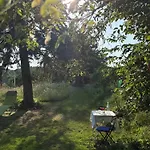 Naturgartenurlaub In Steffis Tiefenfucha