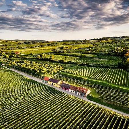 Naturgartenurlaub In Steffis *
