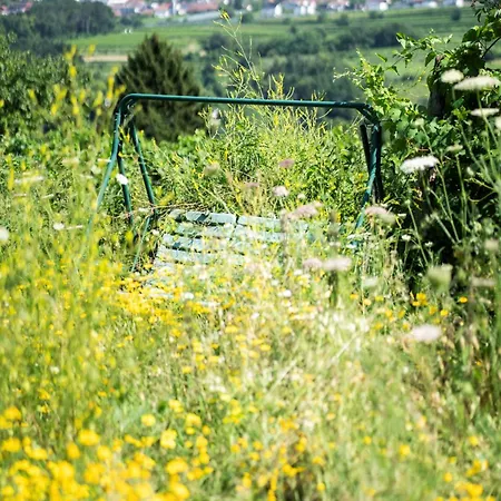 Apartament Naturgartenurlaub In Steffis *