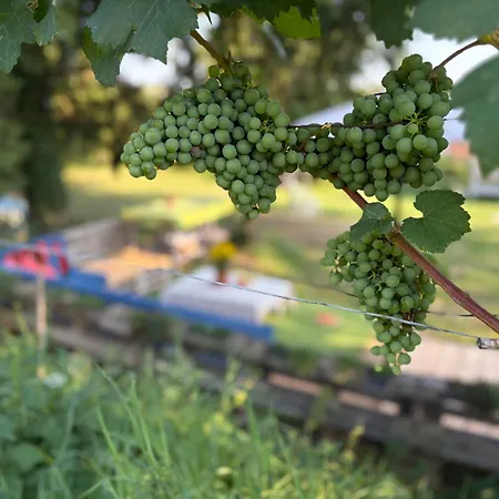 Naturgartenurlaub In Steffis