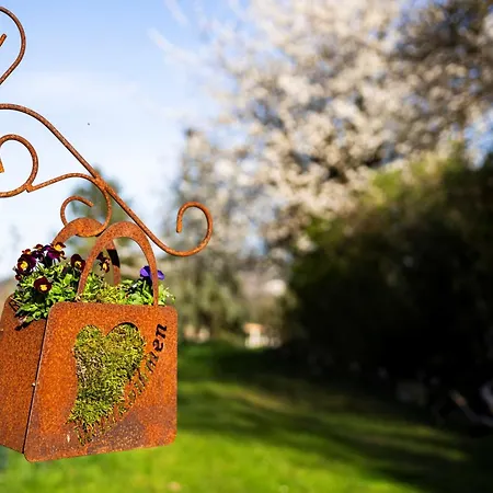 Naturgartenurlaub In Steffis Appartement