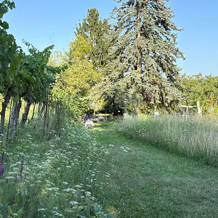 Naturgartenurlaub In Steffis 아파트 *