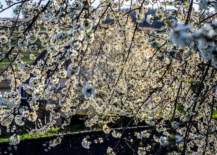 Naturgartenurlaub In Steffis Lejlighed Tiefenfucha